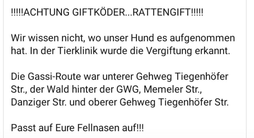 Giftköder-Giftköder-Profilbild