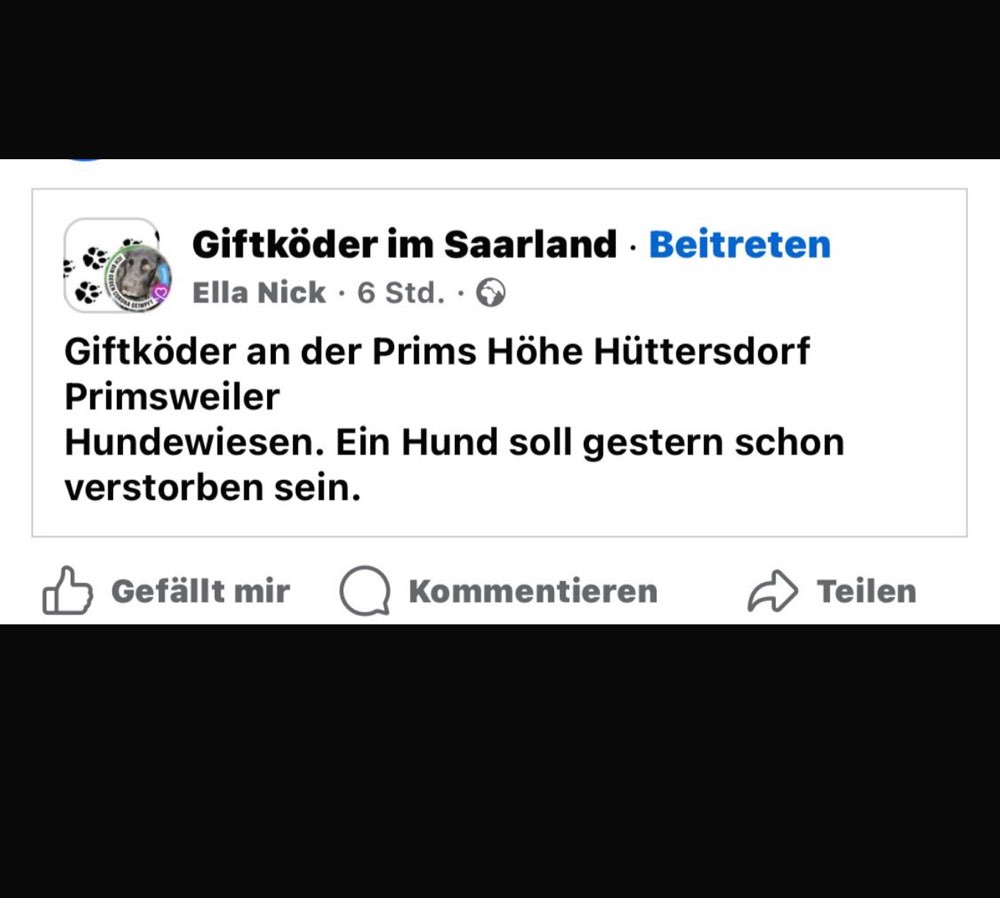 Giftköder-Giftköder in Hüttersdorf-Profilbild