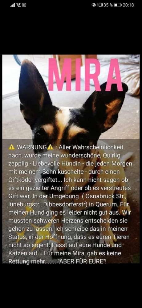 Giftköder-Giftköder in Querum-Profilbild