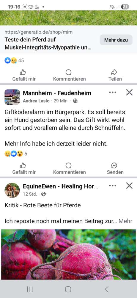 Giftköder-Mögliche Giftköder-Profilbild