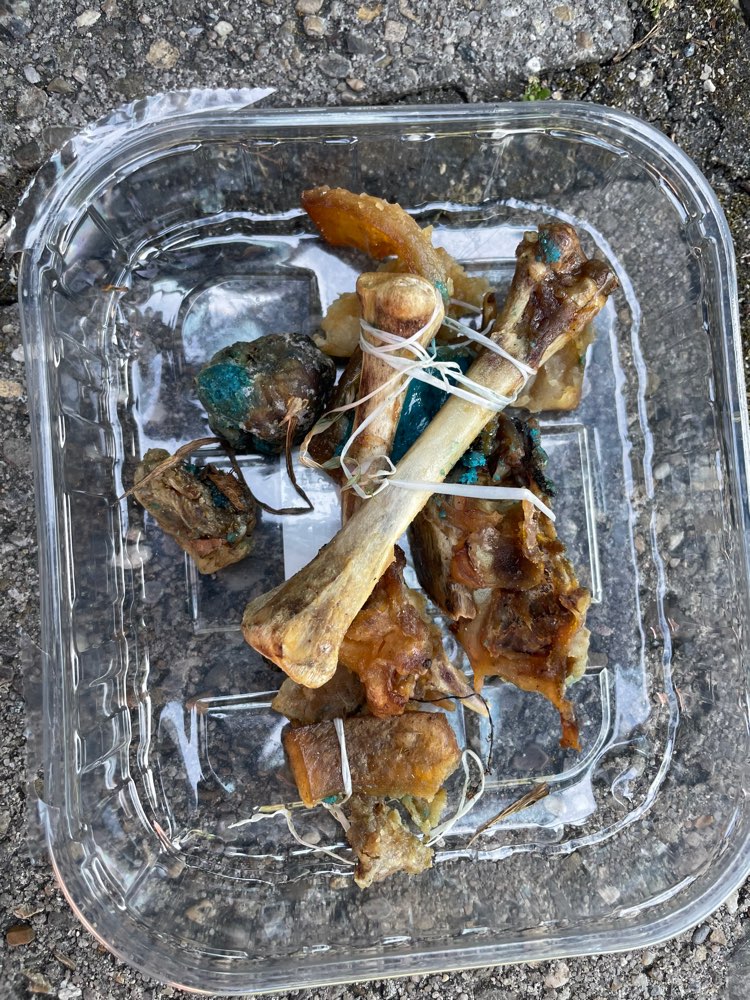 Giftköder-Giftköder-Profilbild