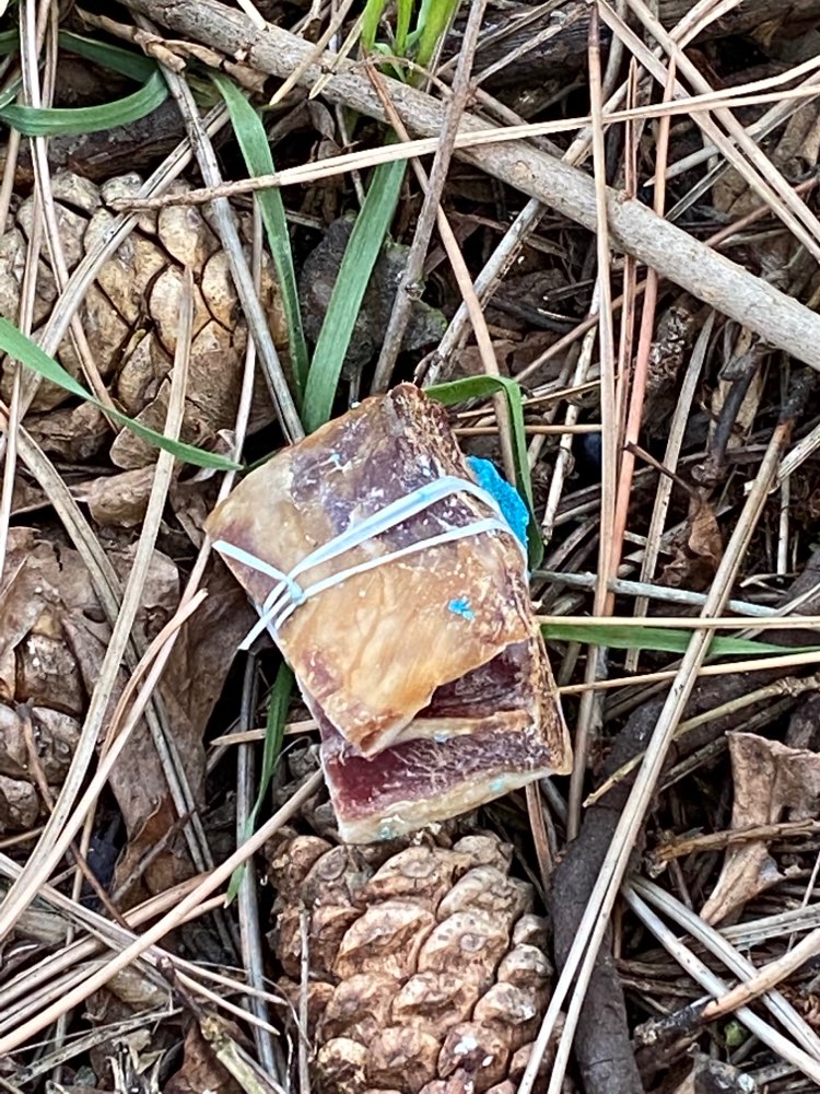 Giftköder-Giftköder-Profilbild