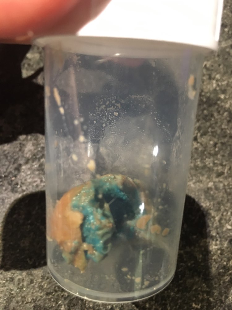 Giftköder-Giftköder-Profilbild