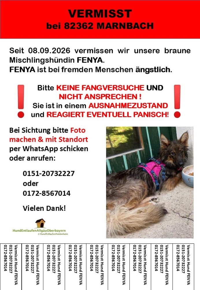 Suchmeldung-FENYA-Profilbild