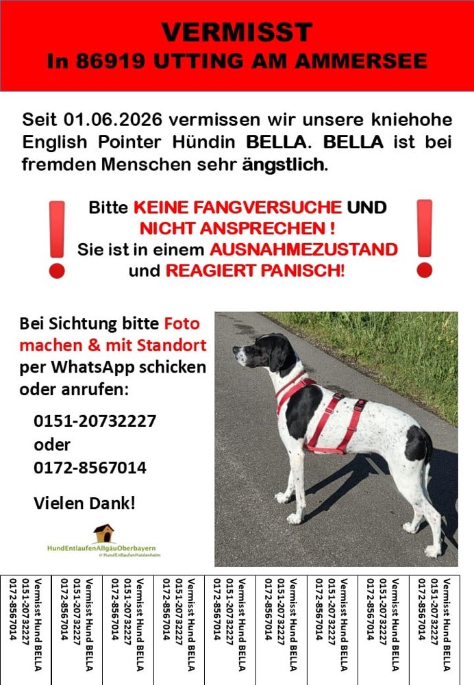 Suchmeldung-Bella-Profilbild