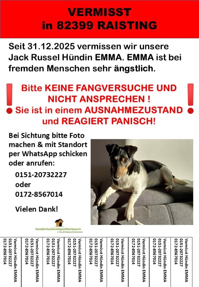 Suchmeldung-Emma-Profilbild