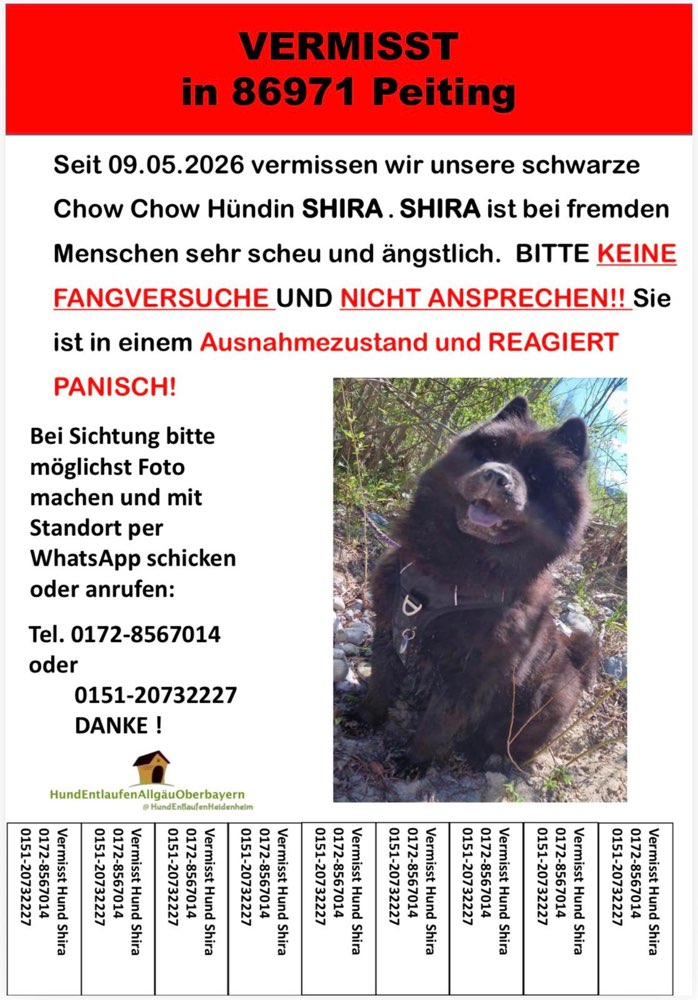 Suchmeldung-Shira-Profilbild