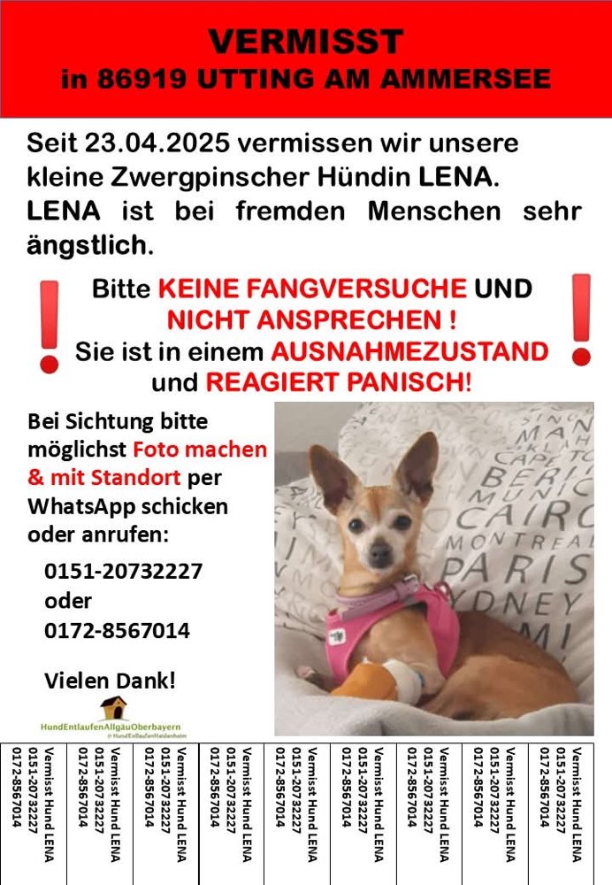 Suchmeldung-Lena-Profilbild