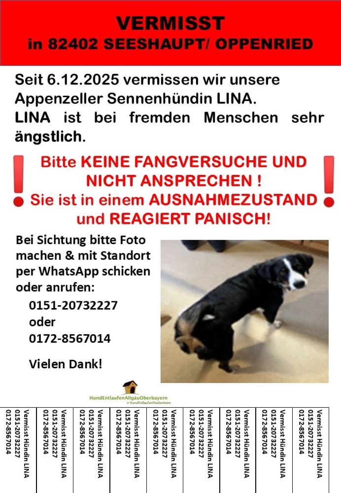 Suchmeldung-Lina-Profilbild