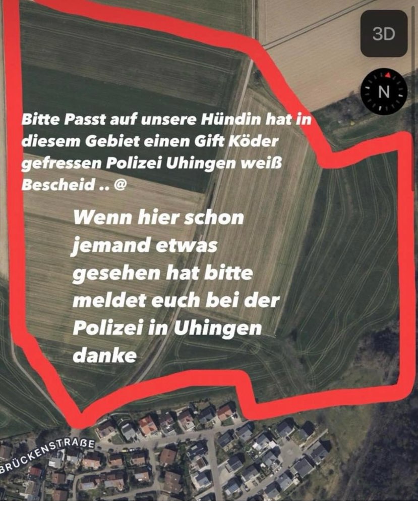 Giftköder-Wohl ein Giftköder-Profilbild