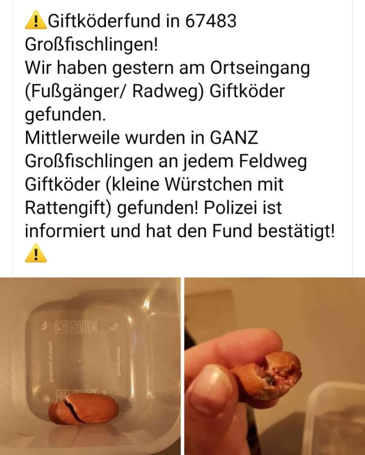 Giftköder-Wurst mit Rattengift-Profilbild