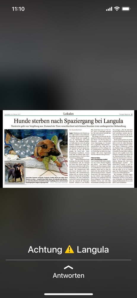 Giftköder-Hund an Vergiftung gestorben-Profilbild