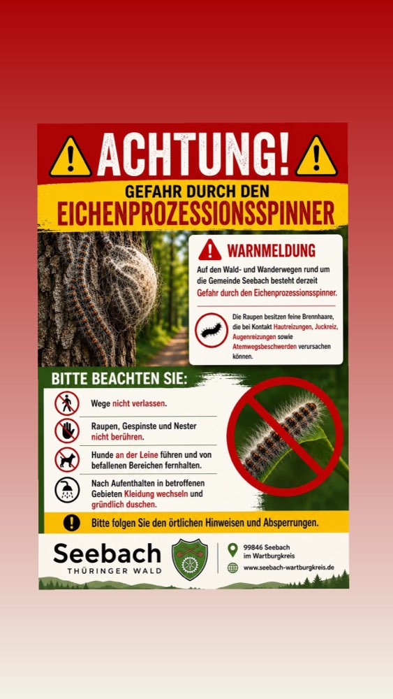 Giftköder-Eichenprozessspinner-Profilbild