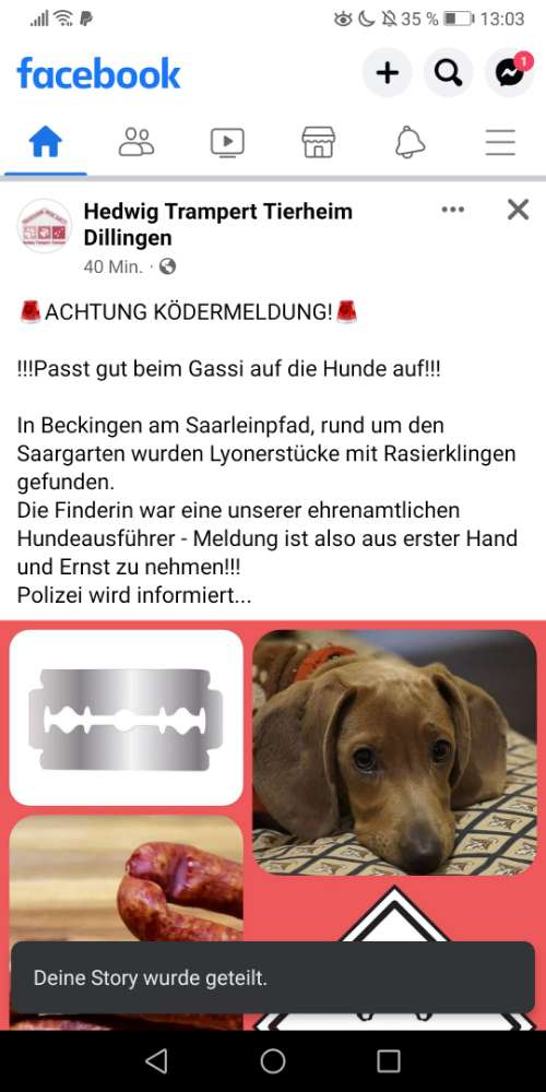 Giftköder-Lyoner mit Rasierklingen-Profilbild