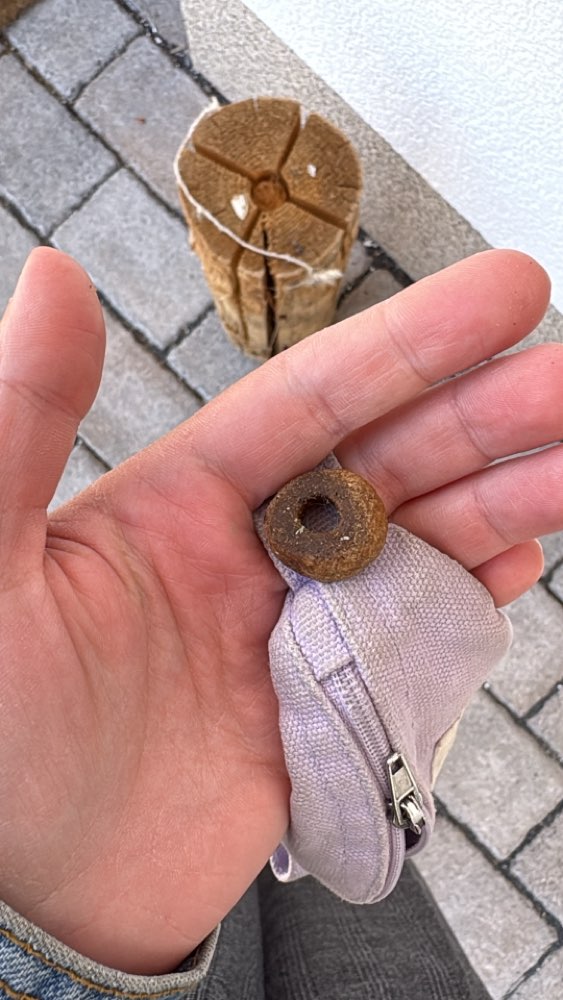Giftköder-Möglicherweise Giftköder im Garten-Profilbild