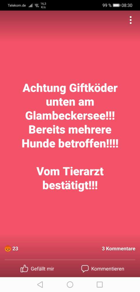 Giftköder-GIFTKÖDER!-Profilbild