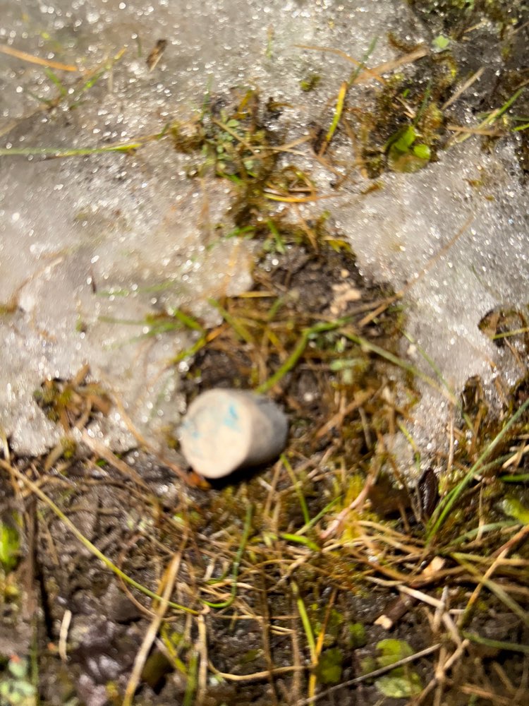 Giftköder-Vermutlicher Giftköder-Profilbild