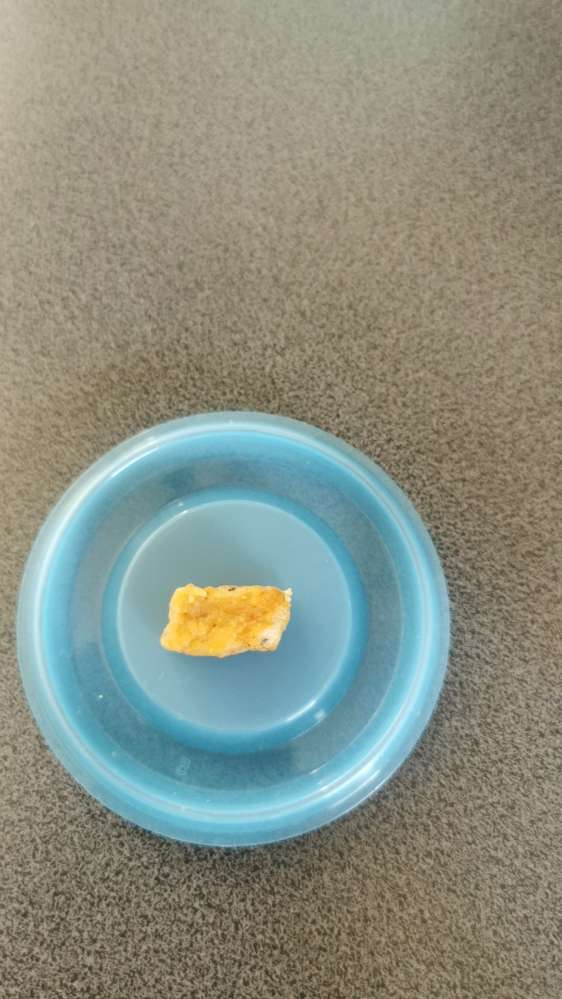 Giftköder-Vermutlich Giftköder gefunden-Profilbild