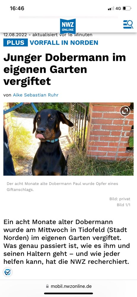 Giftköder-Gift im eigenen Garten-Profilbild