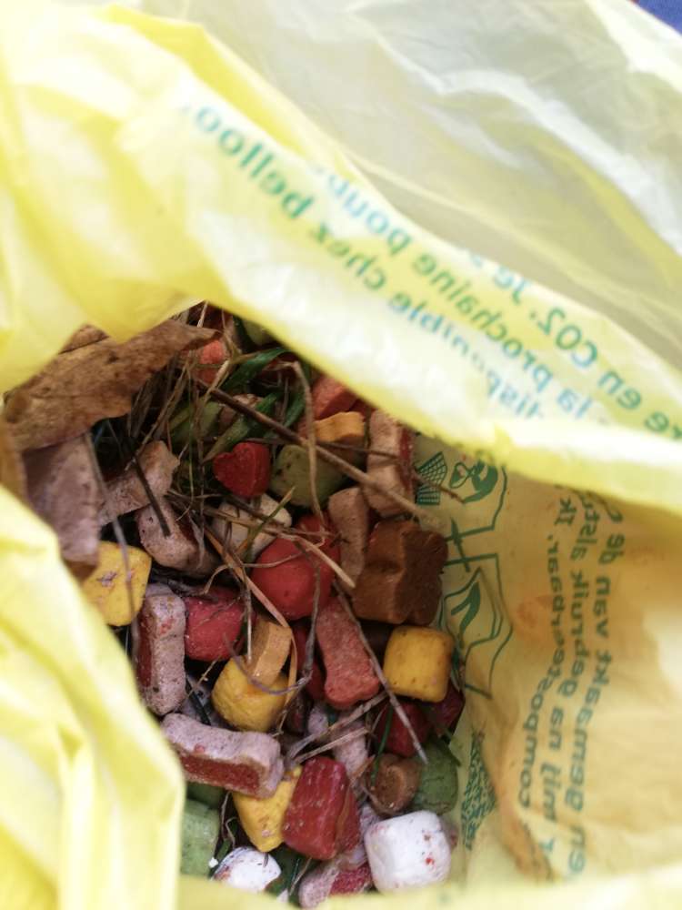 Giftköder-Möglicher Giftköder-Profilbild