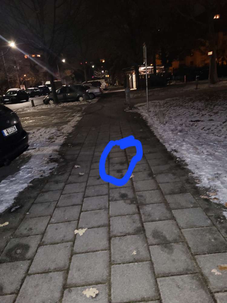 Giftköder-Fleischstück mitten am Gehsteig-Profilbild