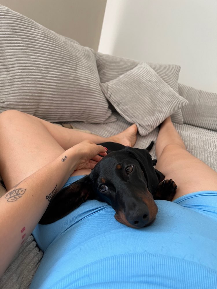 Hundetreffen-Social Walk-Profilbild