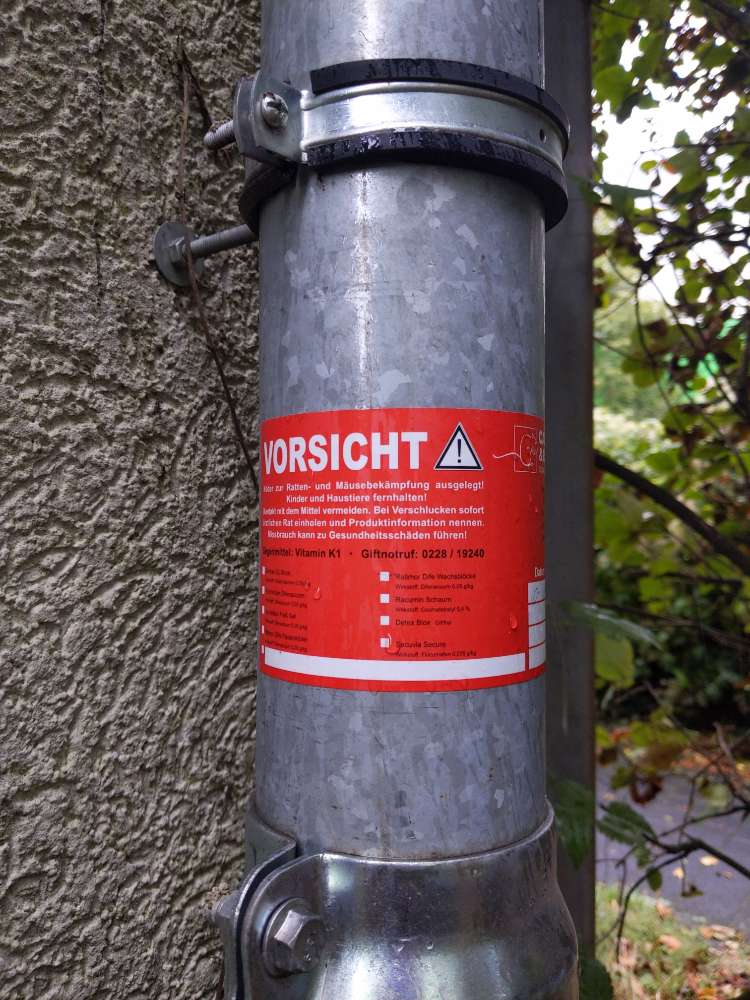 Giftköder-Mögliches Rattengift - Tote Ratte-Profilbild