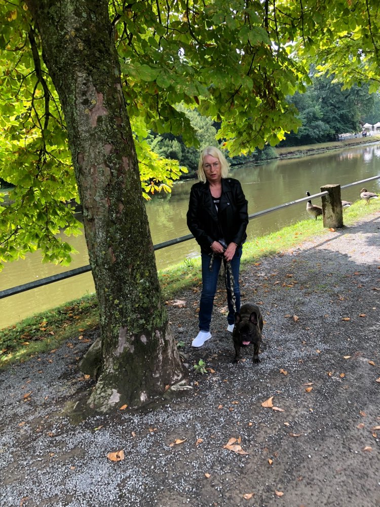Hundetreffen-Spiel und Gassirunde-Profilbild