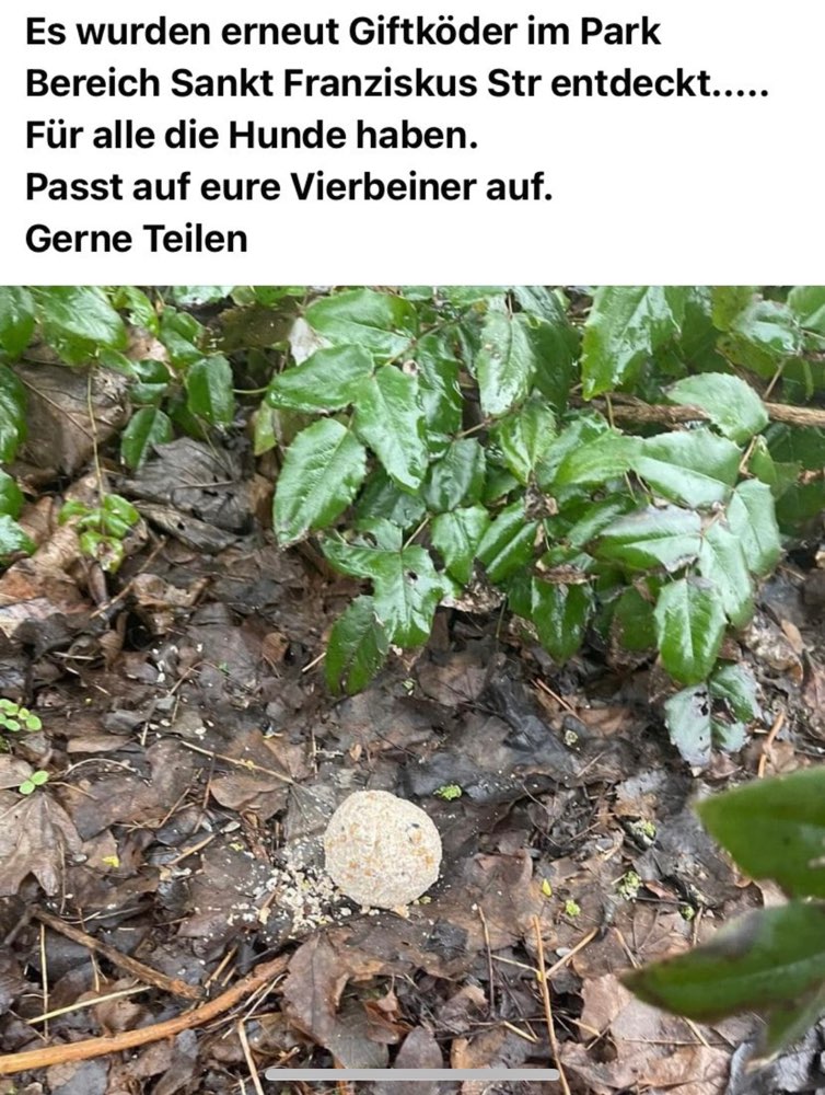 Giftköder-Giftköder-Profilbild