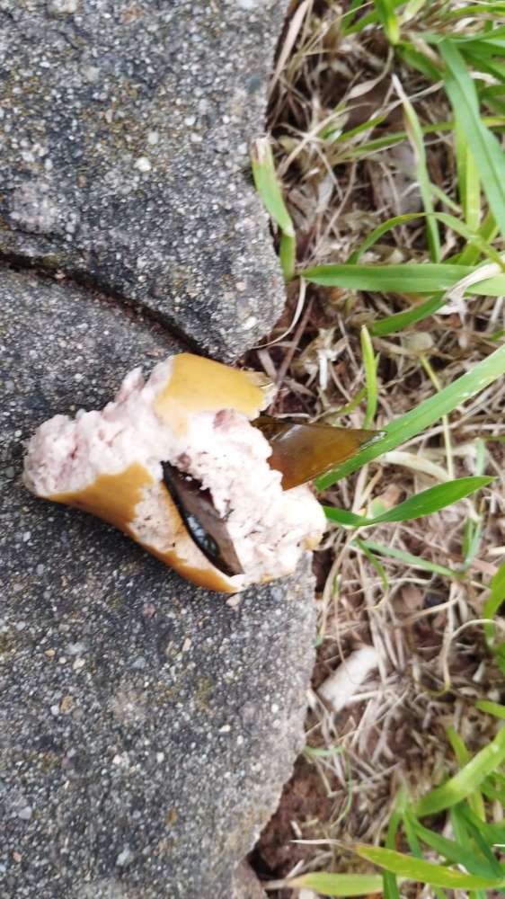 Giftköder-Wust bestückt mit Glas-Profilbild