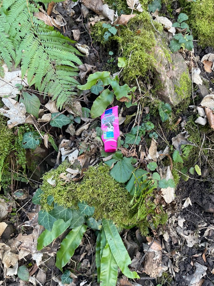 Giftköder-Evtl. Giftköder-Profilbild