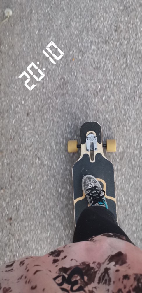 Hundetreffen-Longboarden mit Hunden 🐶-Profilbild