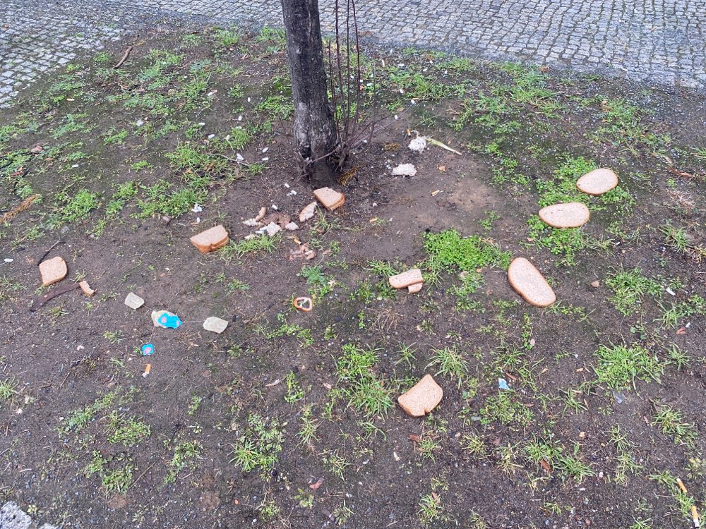 Giftköder-Tablettenkapseln, schimmligerem Brot-Profilbild