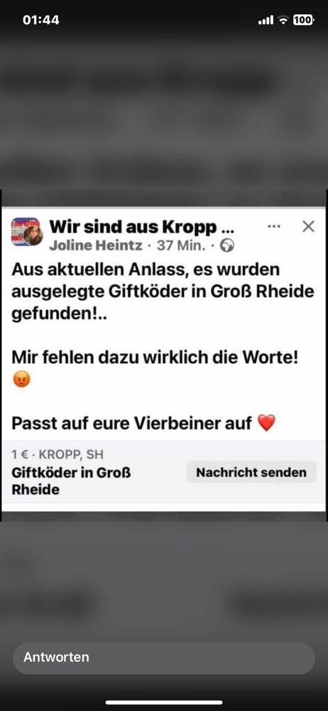 Giftköder-Giftköder!!!-Profilbild