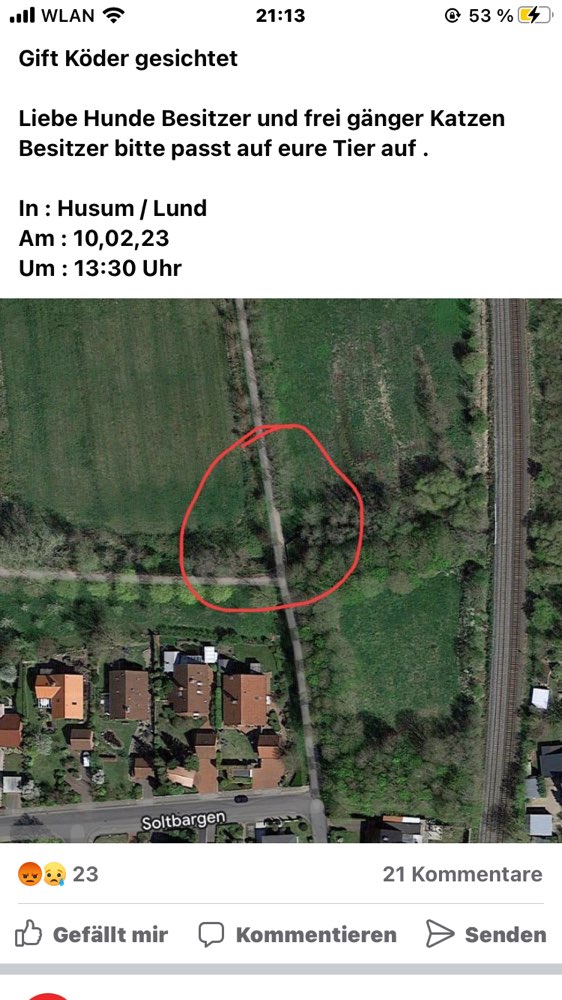 Giftköder-Giftköder-Profilbild