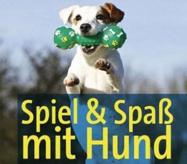Hundetreffen-Hunde suchen Hunde zum Spielen-Profilbild