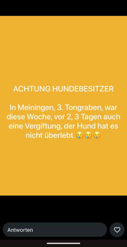 Giftköder-Giftköder-Profilbild