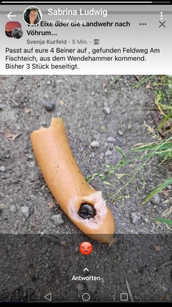 Giftköder-Würstchen gespickt mit Schrauben-Profilbild