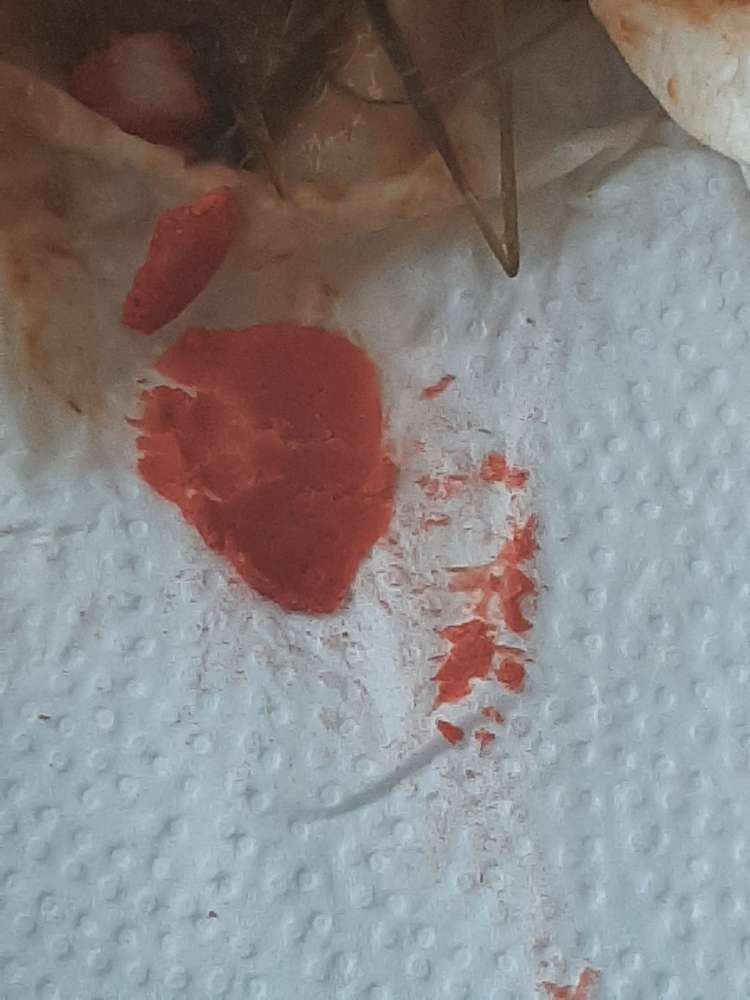 Giftköder-Möglicherw. Giftköder Terrassenfriedhof-Profilbild