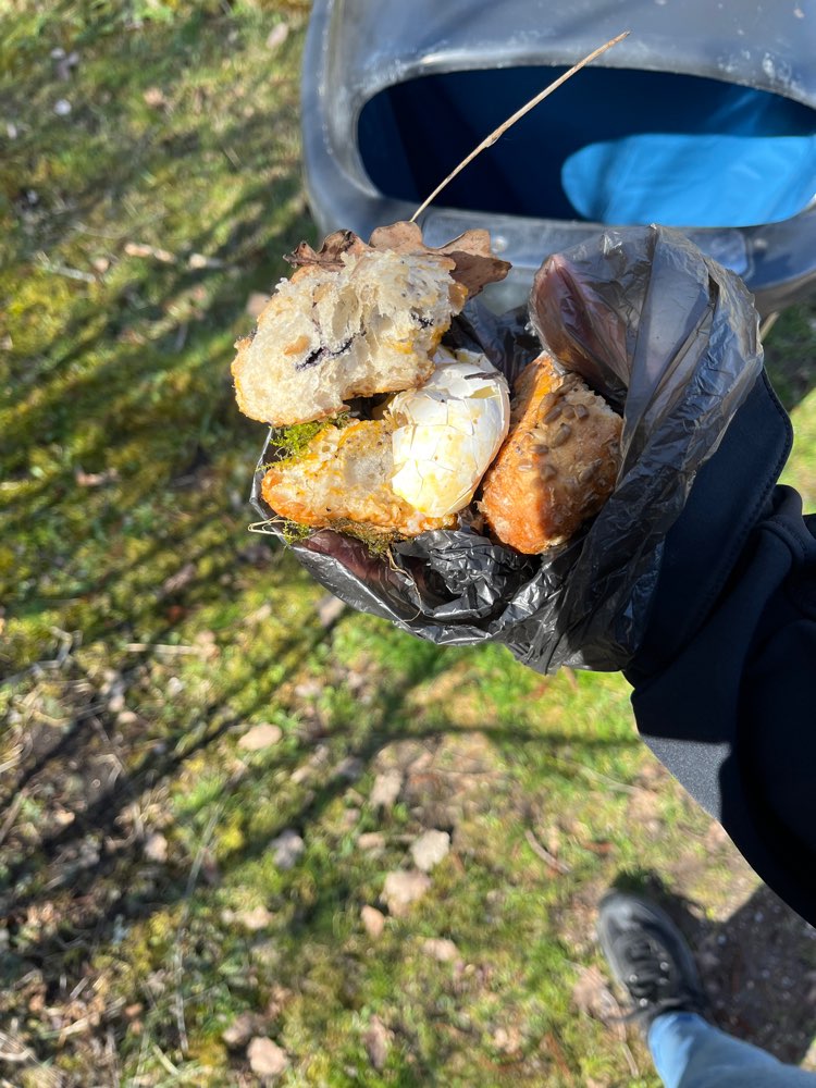 Giftköder-Mohnbrötchen und Eier-Profilbild