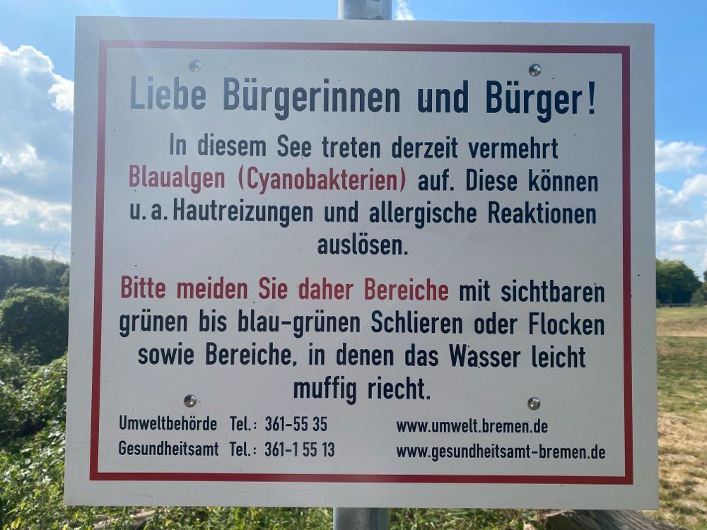 Giftköder-Blaualgen am Mahndorfer See-Profilbild