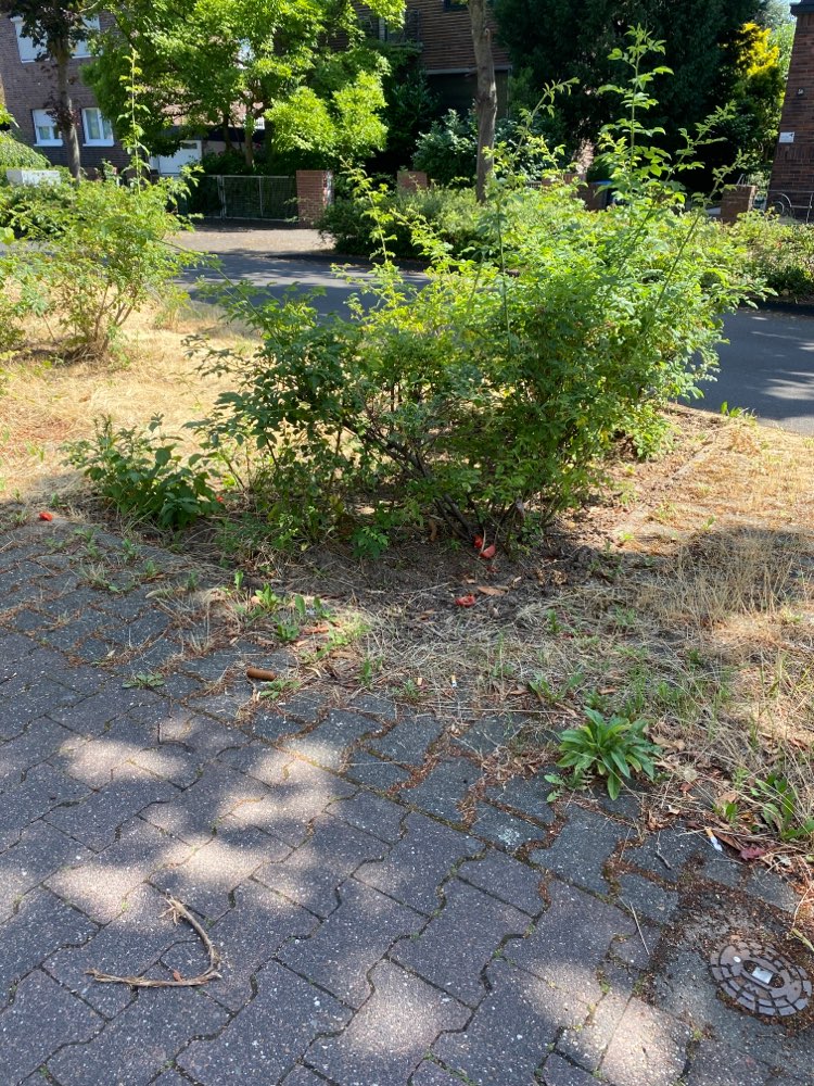 Giftköder-Potenzieller Giftköder-Profilbild