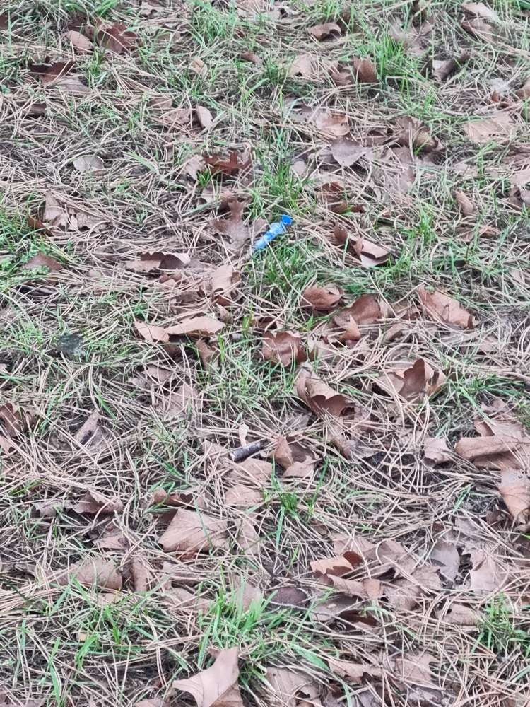 Giftköder-Spritzen auf dem Rasen-Profilbild