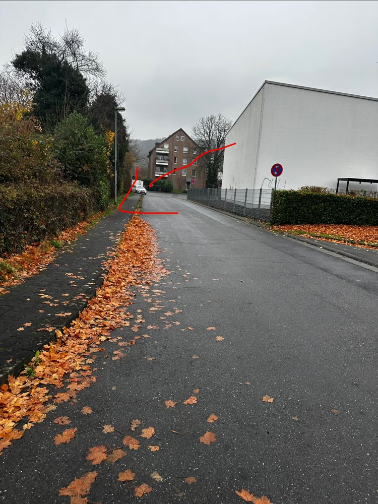 Giftköder-Wahrscheinlich Giftköder-Profilbild