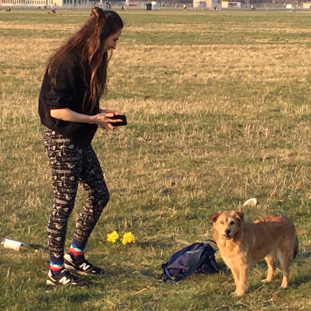 Hundetreffen-Spielfreunde und Social Walk-Profilbild