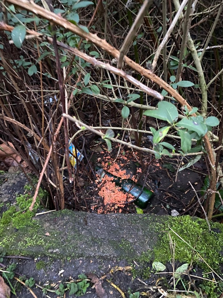 Giftköder-Undefinierbares, rotes "Zeugs"-Profilbild