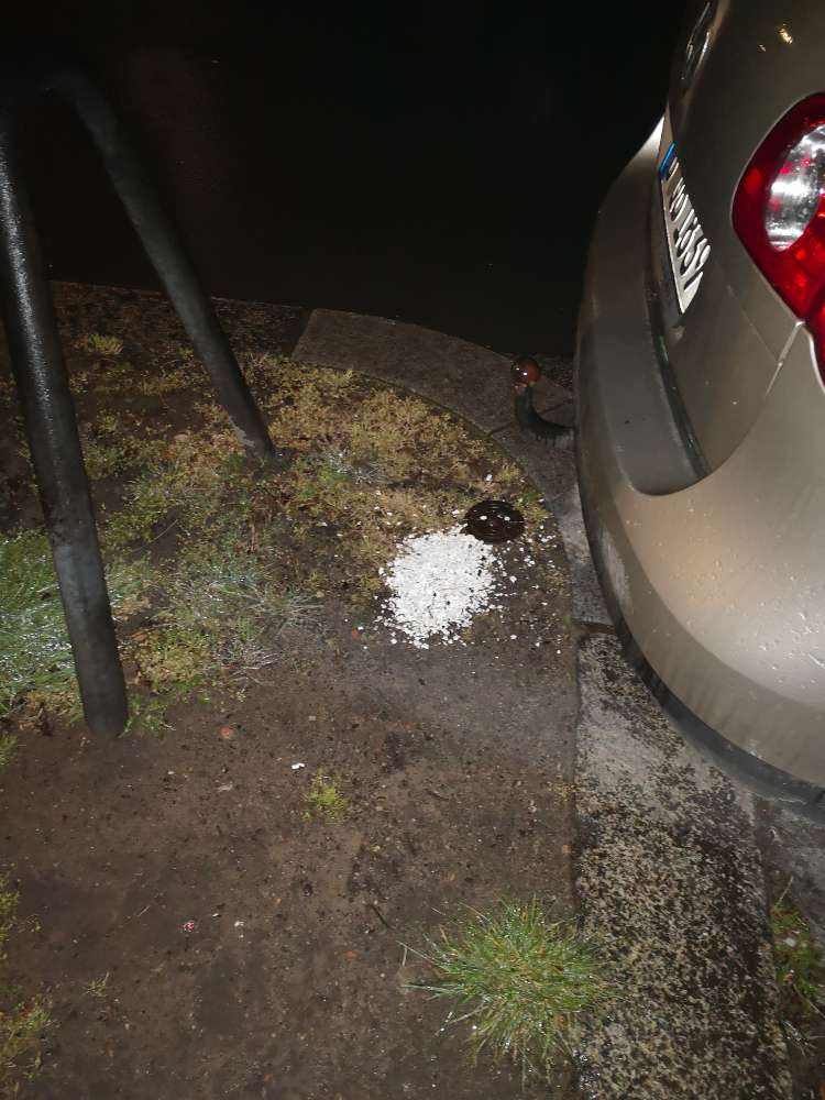 Giftköder-weiße Körner/Steinchen-Profilbild