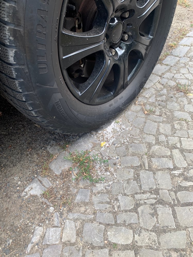 Giftköder-weisses Pulver auf Grünstreifen-Profilbild