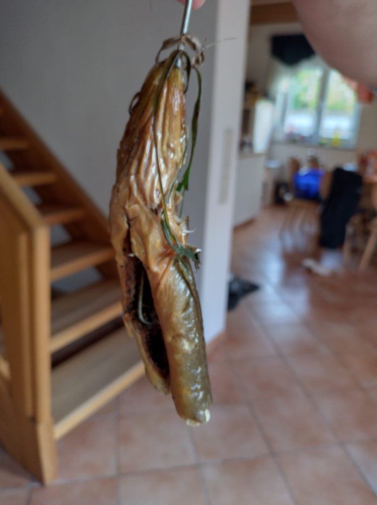 Giftköder-Vorsicht!! Gespickte Giftköder-Profilbild