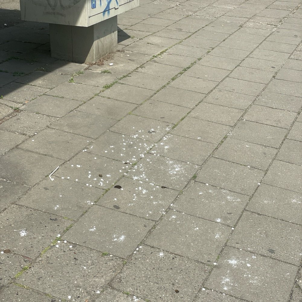 Giftköder-Tabletten auf dem Boden!!-Profilbild